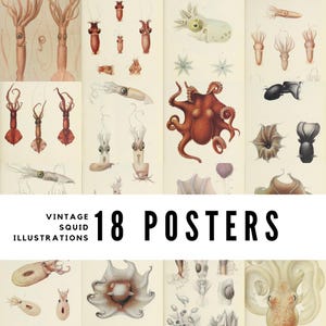 Könnte beinhalten: Eine Sammlung von 18 Vintage-Illustrationen von Tintenfischen und Kraken. Die Illustrationen sind in verschiedenen Stilen gehalten, einige sind realistisch, andere eher stilisiert. Die Illustrationen sind alle in Schwarzweiß und auf weißem Hintergrund gedruckt. Die Illustrationen sind alle in verschiedenen Größen und Formen. Die Illustrationen sind alle in verschiedenen Posen. Die Illustrationen sind alle in verschiedenen Details. Die Illustrationen sind alle in verschiedenen Farben. Die Illustrationen sind alle in verschiedenen Texturen. Die Illustrationen sind alle in verschiedenen Mustern. Die Illustrationen sind alle in verschiedenen Designs. Die Illustrationen sind alle in verschiedenen Stilen. Die Illustrationen sind alle in verschiedenen Formen. Die Illustrationen sind alle in verschiedenen Größen. Die Illustrationen sind alle in verschiedenen Farben. Die Illustrationen sind alle in verschiedenen Texturen. Die Illustrationen sind alle in verschiedenen Mustern. Die Illustrationen sind alle in verschiedenen Designs. Die Illustrationen sind alle in verschiedenen Stilen. Die Illustrationen sind alle in verschiedenen Formen. Die Illustrationen sind alle in verschiedenen Größen. Die Illustrationen sind alle in verschiedenen Farben. Die Illustrationen sind alle in verschiedenen Texturen. Die Illustrationen sind alle in verschiedenen Mustern. Die Illustrationen sind alle in verschiedenen Designs.