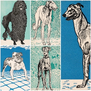 May include: A collection of six dog illustrations in a vintage style. The dogs are depicted in black and white with a variety of breeds, including a poodle, greyhound, and bulldog. Each dog is set against a background of either blue or teal.