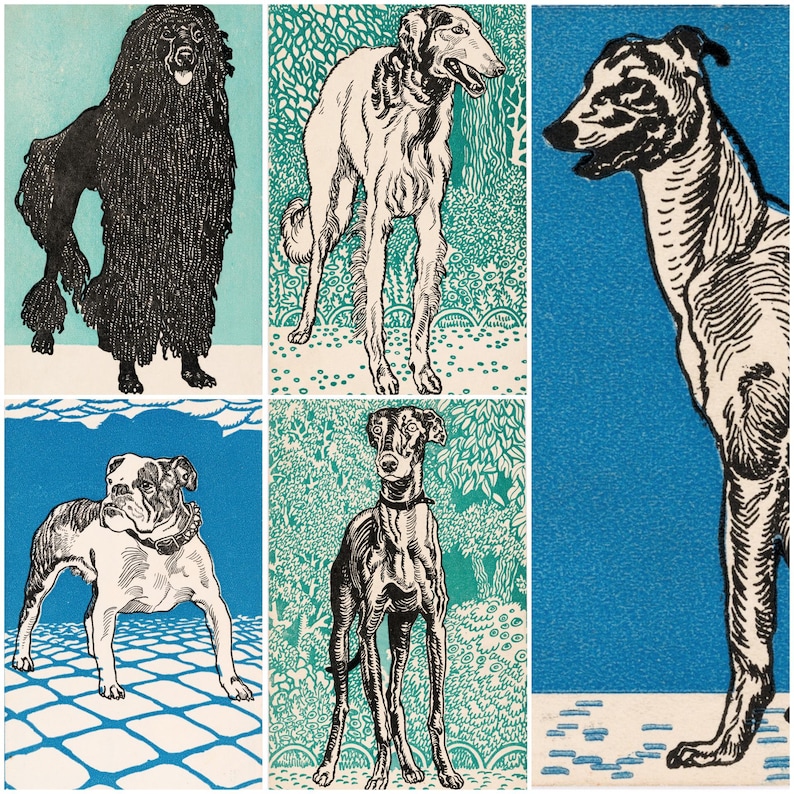 May include: A collection of six dog illustrations in a vintage style. The dogs are depicted in black and white with a variety of breeds, including a poodle, greyhound, and bulldog. Each dog is set against a background of either blue or teal.