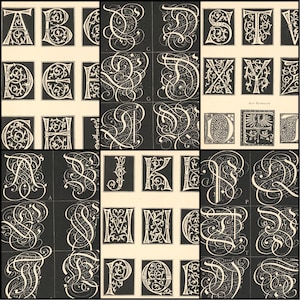 May include: A collection of black and white vintage alphabet letters. Each letter is intricately designed with ornate swirls and flourishes, set against a dark background. The letters are displayed in individual square frames, showcasing a classic, elegant style.
