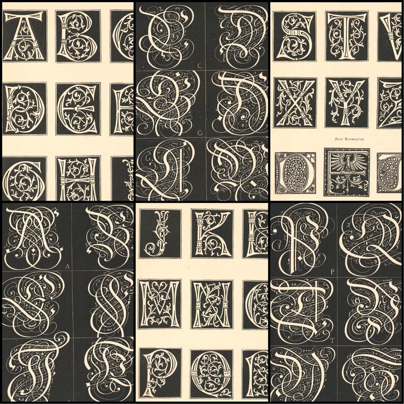May include: A collection of black and white vintage alphabet letters. Each letter is intricately designed with ornate swirls and flourishes, set against a dark background. The letters are displayed in individual square frames, showcasing a classic, elegant style.