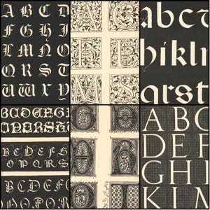 May include: A collage of various fonts and lettering styles in black and white. The image includes examples of uppercase and lowercase letters, as well as decorative initial letters with floral designs. The background is a dark color.