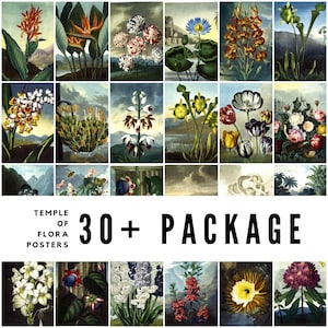 May include: A collection of 30+ vintage botanical posters featuring detailed illustrations of various flowers and plants. The posters showcase a range of colors and styles, with the text "TEMPLE OF FLORA POSTERS 30+ PACKAGE" at the bottom.