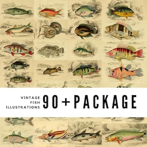 Vintage Fish Illustration Collection – 90+ Digital Downloads | Aquatic Art Prints, Marine Ephemera & Nature Studies