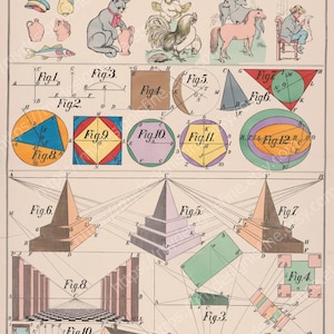 May include: A vintage educational chart titled "School and Family Charts" featuring illustrations of geometric shapes, perspective drawings, and animal figures. The chart is printed in multiple colours and includes text and diagrams.