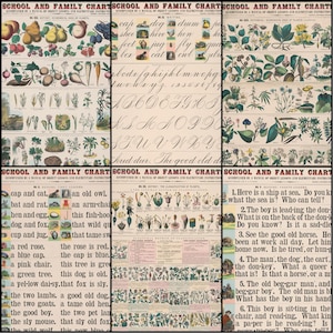 May include: A set of antique educational charts with illustrations of fruits, vegetables, and botanical specimens. The charts also include early reading lessons and examples of cursive handwriting. The text includes simple sentences for children.