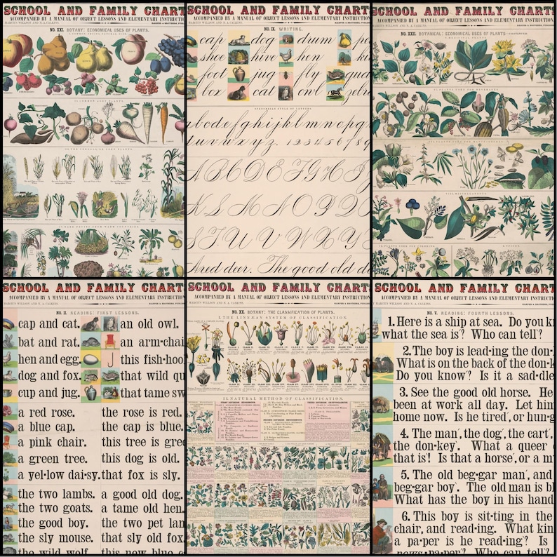 May include: A set of antique educational charts with illustrations of fruits, vegetables, and botanical specimens. The charts also include early reading lessons and examples of cursive handwriting. The text includes simple sentences for children.