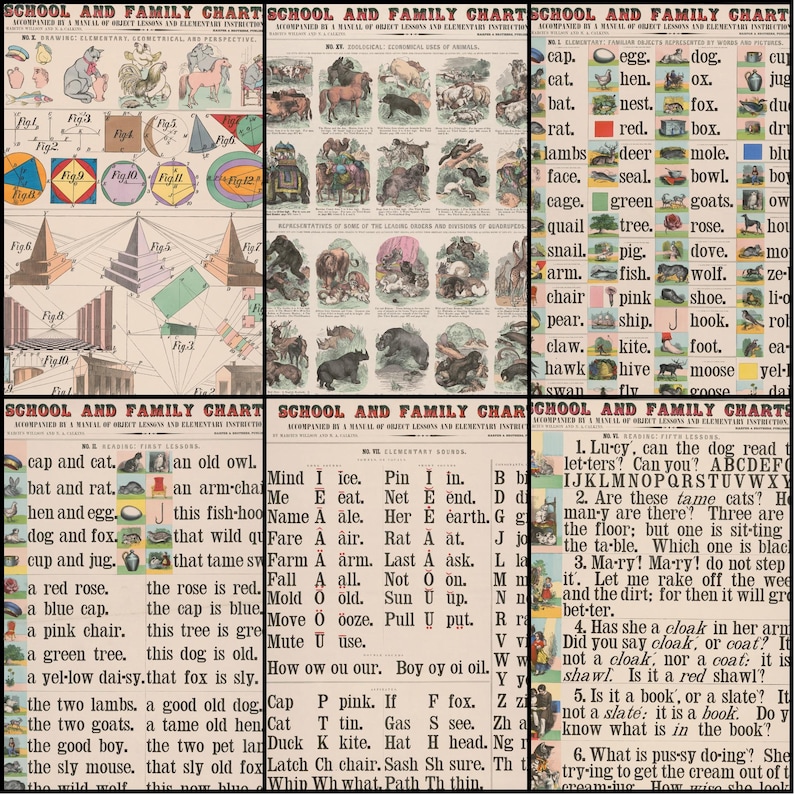 May include: A set of antique educational charts, displaying animal illustrations, geometric forms, and early reading exercises. The charts are printed on aged paper with a variety of colours and fonts.