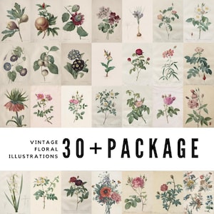 30+ Vintage Floral Illustrations / High-Quality Digital Downloads