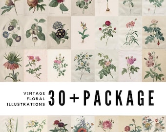 Vintage Floral Illustrations: 19th Century Botanical Art (Digital Download)