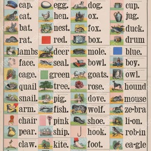 May include: A vintage educational chart titled "School and Family Charts" with illustrations of objects and words. Includes images of a cat, dog, tree, and more. The chart is designed for elementary instruction.