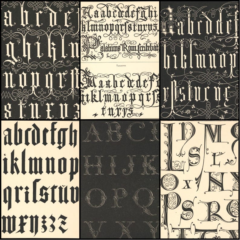 May include: A collage of six panels showcasing various antique fonts in black and white. The fonts include ornate capital letters, lowercase alphabets, and decorative flourishes. Some panels feature complete alphabets, while others display individual letters.