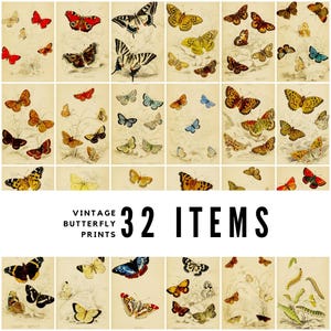 May include: A collection of 32 vintage butterfly prints, each featuring detailed illustrations of various butterfly species. The prints showcase butterflies in shades of red, yellow, blue, and brown, with the text "VINTAGE BUTTERFLY PRINTS" and "32 ITEMS".