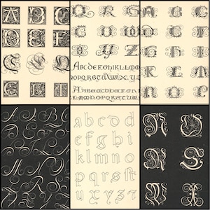 May include: A collection of vintage alphabet designs in black and white. The image showcases various styles, including ornate capital letters with floral and scroll details, along with a simple lowercase font. The letters are arranged in a grid format.