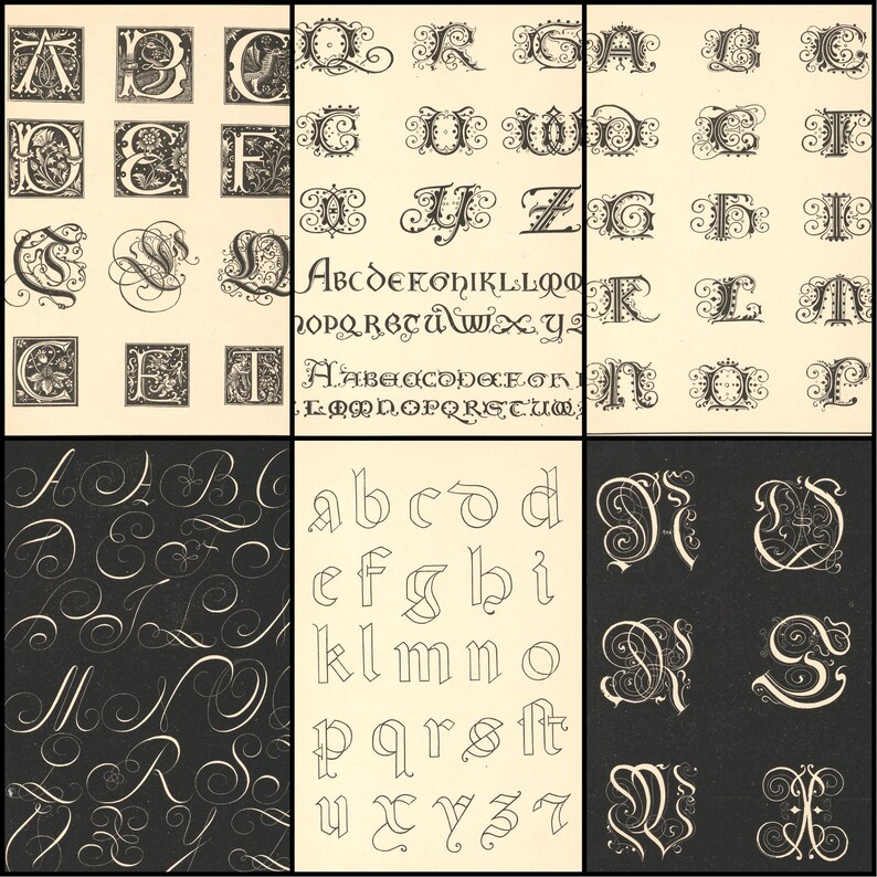 May include: A collection of vintage alphabet designs in black and white. The image showcases various styles, including ornate capital letters with floral and scroll details, along with a simple lowercase font. The letters are arranged in a grid format.