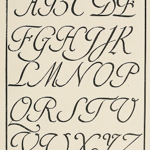 May include: A black and white illustration of the English alphabet in a cursive script. The letters are elegantly drawn with a classic, flowing style. The image is set against a cream-colored background, with each letter clearly defined.