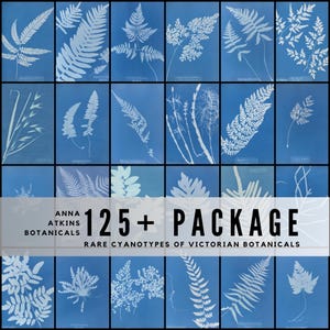 May include: A collection of cyanotype prints of botanical specimens, featuring ferns and other plants in white against a blue background. The text reads "Anna Atkins Botanicals 125+ Package Rare Cyanotypes of Victorian Botanicals."