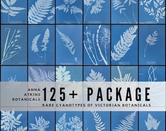 125+ Anna Atkins cyanotypier – högupplösta botaniska tryck, vintage blå naturkonst, vetenskapliga illustrationer, omedelbar nedladdning