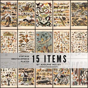 May include: Fifteen vintage encyclopedia plates displaying detailed illustrations of various animals, insects, and plants. The plates are arranged in a grid, showcasing a variety of species in a classic, educational style.