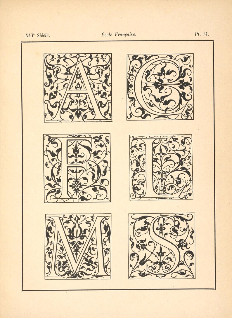 May include: A page from a book featuring six ornate, black and white letters: A, C, F, U, M, and S. Each letter is enclosed in a square and filled with intricate floral designs. The text "XVI Siecle" and "Ecole Fran&ccedil;aise" are at the top.