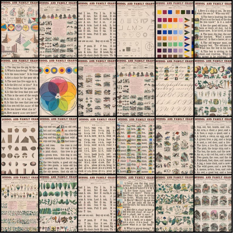 May include: A set of antique educational charts, featuring illustrations and text. The charts cover subjects like shapes, colours, animals, and grammar, with text in a traditional font. The overall appearance is aged and vintage, with a sepia-toned background.