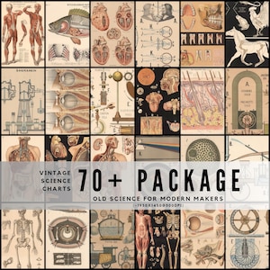 Può includere: Una collezione di grafici scientifici vintage con illustrazioni anatomiche, diagrammi e disegni scientifici. L'immagine include grafici del corpo umano, organi e strumenti scientifici. Il testo sull'immagine recita "VINTAGE SCIENCE CHARTS 70+ PACKAGE OLD SCIENCE FOR MODERN MAKERS."