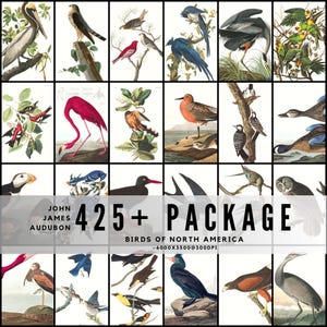 May include: A collection of vintage bird illustrations from John James Audubon's Birds of North America. The image features a grid of various bird species, showcasing detailed drawings with vibrant colors and natural settings. The text reads "425+ PACKAGE".