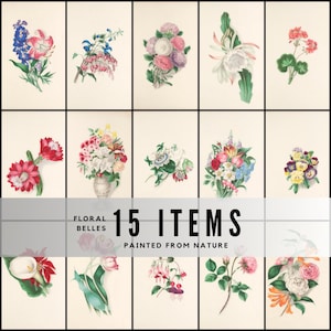 May include: A collection of 15 botanical illustrations of various flowers, including delphiniums, asters, and roses, each framed in a black border. The text "Floral Belles" and "Painted from Nature" is displayed.