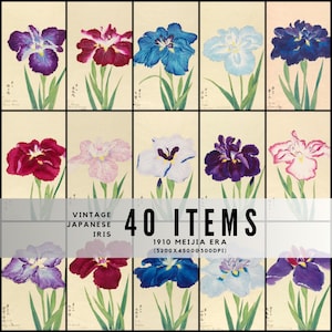 May include: A collection of vintage Japanese iris prints from the 1910 Meiji era. The prints feature various colors of iris flowers, including purple, red, blue, and white, with green stems and leaves. The text "40 ITEMS" is displayed.