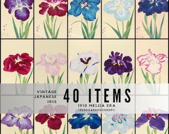 May include: A collection of vintage Japanese iris prints from the 1910 Meiji era. The prints feature various colors of iris flowers, including purple, red, blue, and white, with green stems and leaves. The text "40 ITEMS" is displayed.