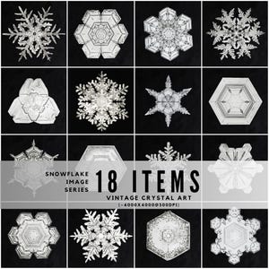 May include: A grid of 12 detailed images of snowflakes against a black background. The snowflakes are intricate, symmetrical, and appear crystalline. Text reads "SNOWFLAKE IMAGE SERIES 18 ITEMS VINTAGE CRYSTAL ART (-4000x4000@300DPI)".