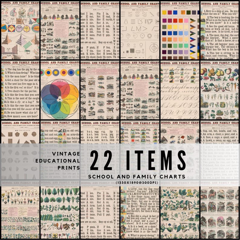 May include: A set of 22 vintage educational prints, labelled "School and Family Charts." The prints display diverse illustrations, charts, and text, including colour wheels, alphabets, and botanical drawings. The overall aesthetic is aged and antique.