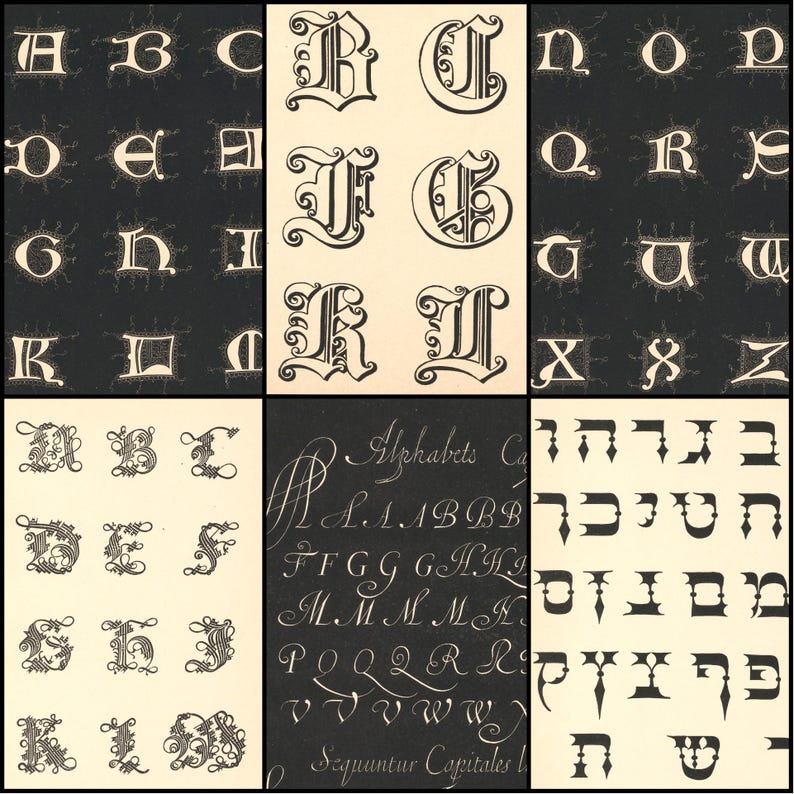 May include: A collage of various antique letter styles. The image features multiple panels showcasing different fonts, including ornate capital letters, calligraphic alphabets, and Hebrew characters. The letters are in black and white.