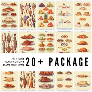 May include: A collection of vintage gastronomy illustrations. The images showcase various food items, including meats, fruits, and salads, presented on plates. The text reads "VINTAGE GASTRONOMY ILLUSTRATIONS 20+ PACKAGE".