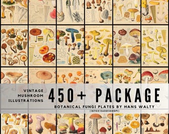 May include: A selection of vintage mushroom illustrations, showcasing diverse fungi in detailed botanical drawings. The artwork displays a range of colours and shapes, with text reading "450+ PACKAGE" and "BOTANICAL FUNGI PLATES BY HANS WALTY".