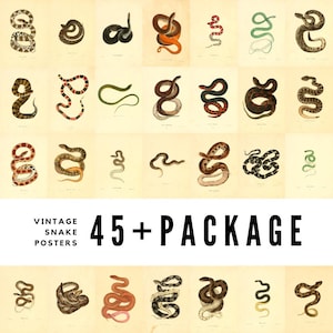 45+ Vintage Snake Posters / Serpent Wall Art / High-Quality Digital Downloads