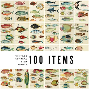 100 Vintage Surreal Fish Illustrations / Ichthyology Art / High-Quality Digital Downloads