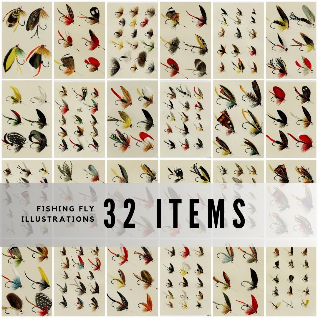 イアンフライアーズ　絵画 Vintage Fishing Fly Illustrations: Restored Fly-fishing Art