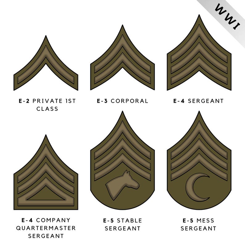 Female Upper Ranks 240+ Historical US Army Rank Insignia SVG PNG Jpeg, All Ranks Military ...