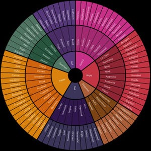 Op de afbeelding: Een cirkeldiagram dat een spectrum van menselijke emoties weergeeft. Het wiel is verdeeld in kleurgecodeerde secties, die elk een andere emotionele toestand vertegenwoordigen, zoals blij, verdrietig, boos en bang. Verschillende gevoelens staan in elke sectie vermeld.