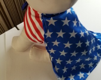 Blue, Stars and Red Cap and Vest