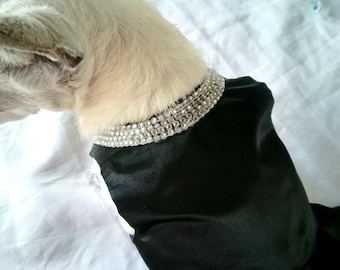 Dogs, Cats, Pets black dress - Breakfast at Tiffanys