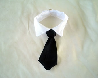 Dogs,  Cats, Pets TIE / Collar