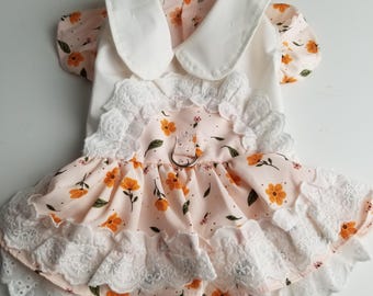 Dogs, Cats, Pets Dress