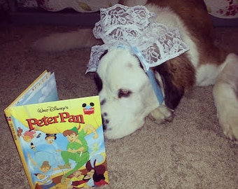 Dogs, Cats, Pets NANA HAT  - Bonnet -  Peter Pan Movie Character