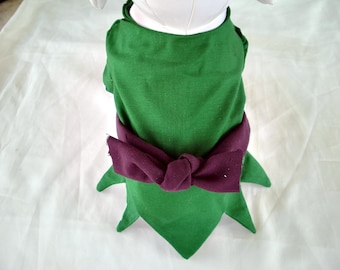Dogs, Cats, Pets PETER PAN Costume