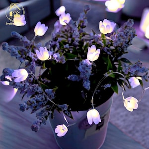 Luci da fata sospese per esterni, luci a LED sospese, decorazioni a LED per esterni, decorazioni da fata, decorazioni da giardino