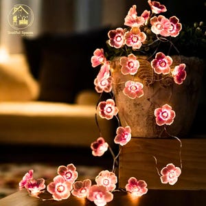 Luci da fata sospese per esterni, luci a LED sospese, decorazioni a LED per esterni, decorazioni da fata, decorazioni da giardino