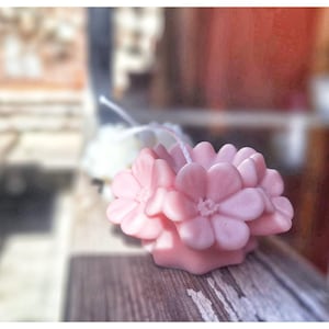 fiori di ciliegio in pura cera di soia