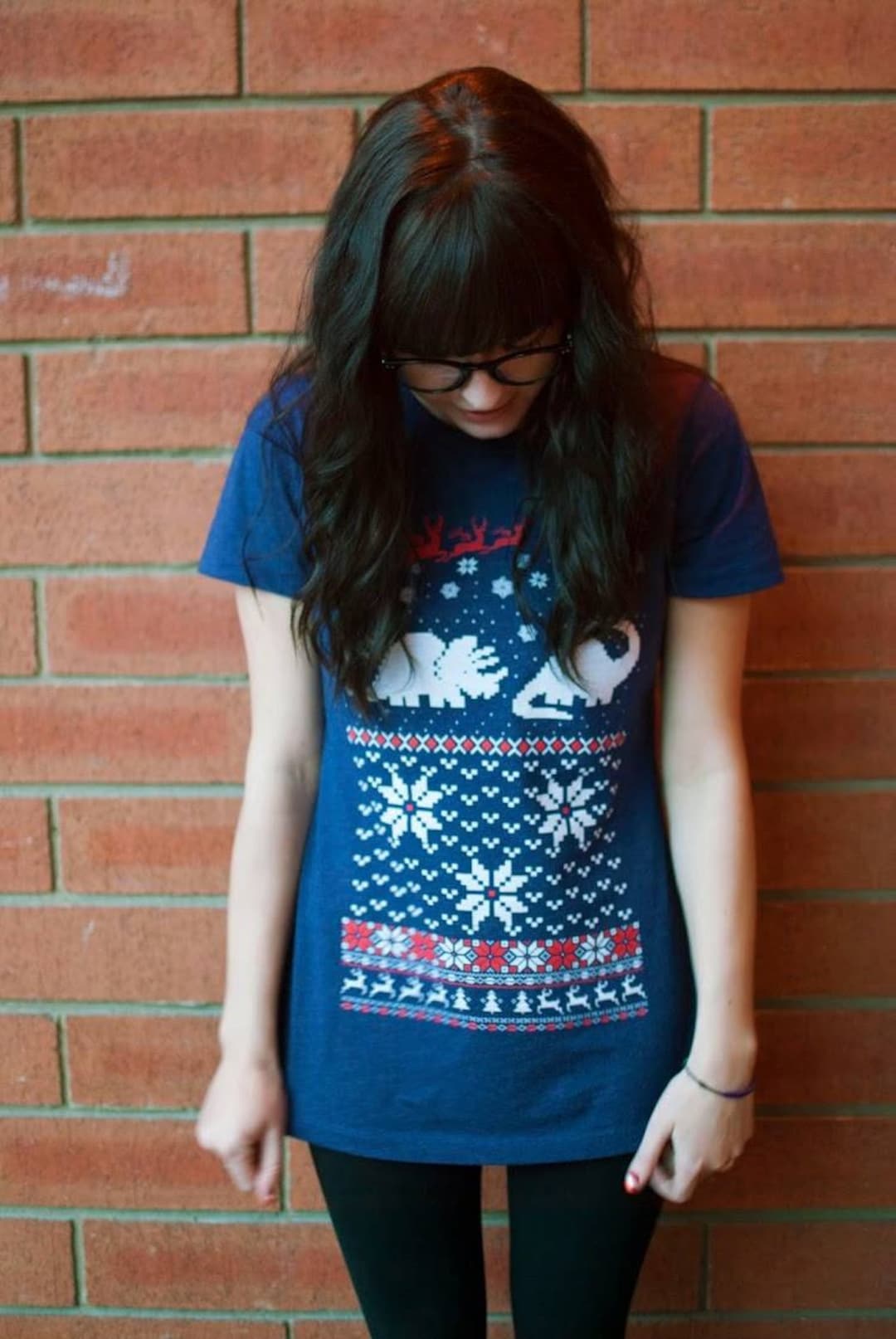 Women's Santa Dinosaur Christmas Sweater Shirt S M L XL Etsy